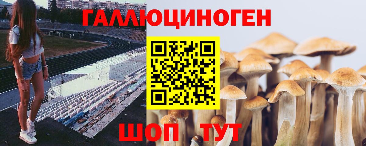 Псилоцибиновые грибы Magic Shrooms  Вход с VPN  где продают наркотики  Россошь 